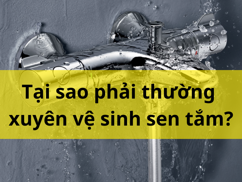 Tại sao phải thường xuyên vệ sinh sen tắm?